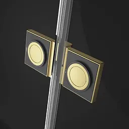 Душові двері Radaway Essenza Pro Gold DWJ 100 см 10099100-09-01R - мініатюра 5