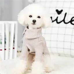 Гольф для собак Less is more напис горловині, з люрексом, бежевий M Cheepet zoo0006484 - мініатюра 4