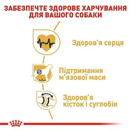 Сухий корм для дорослих собак породи Ротвейлер Royal Canin Rottweiler Adult, з м'ясом птиці, 12 кг (3971120) - мініатюра 6