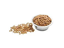 Сухий корм для кішок Wise Cat Beef 400 г (4820111141722) - мініатюра 2