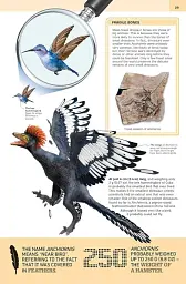 1000 Amazing Dinosaur Facts - мініатюра 5