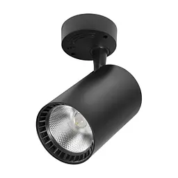 Спот Delux TL02S 30 Вт 4000К (90015903)