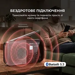 Радіоприймач Sharp DR-P520 Storm Grey - мініатюра 4