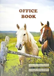 Книга-канц. A4 60арк. кліт. м`яка обкл. офсет. 00100/Фолдер/