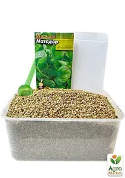 Насіння Agro-Market Шпинат Матадор на вагу ціна за 7 г (22090) - мініатюра 5