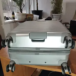 Валіза Swissbrand Rome S Silver (SWB_LHROM002S) - мініатюра 7