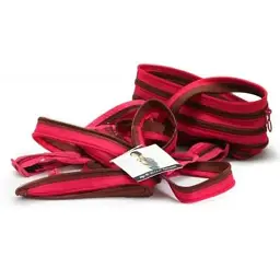Рюкзак шкільний Zipit Zipper Fuchsia Deep Brown (ZBPL-1) - мініатюра 4