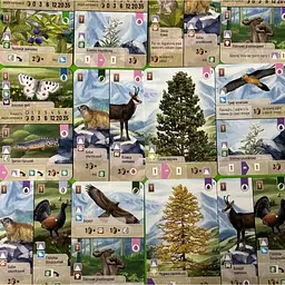 Настільна гра Lord of Boards Лісова метушня. Альпи (Forest Shuffle: Alpine Expansion) (укр.) доповнення (LOB2405UA) - мініатюра 4