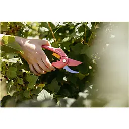 Площинний секатор Fiskars Inspiration Pruner Bypass Ruby P26 (1003657) - мініатюра 5