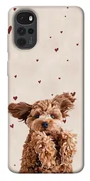 TPU чохол Demsky Сute doggy для Motorola Moto G22