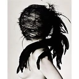Stoppers. Photographs from My Life at Vogue - Філліс Поснік - мініатюра 1