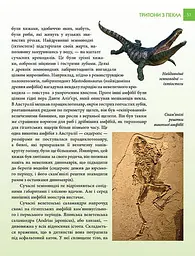 Енциклопедія для допитливих А5 : Найнебезпечніші істоти планети (Українська, 01 КРЕЙДОВАНА ) - мініатюра 9