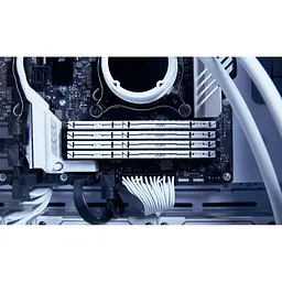 Модуль пам'яті Kingston Fury DDR5 16GB 6000MHz Beast White EXPO (KF560C30BWE-16) - мініатюра 4