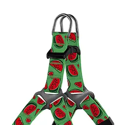 Шлея для собак дрібних порід BronzeDog Urban Fruits Кавун XXS 24-30 см - мініатюра 2