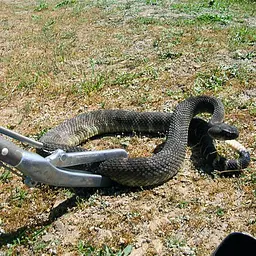 Металевий захват для змій Repti-zoo Snake Tong 100см (SC40) - мініатюра 9