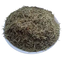 Розмарин Листя Salvia rosmarinus - мініатюра 1