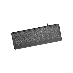Клавіатура Gembird Slim Multimedia White Backlight USB Black (KB-UML-04-CYRL) - мініатюра 2