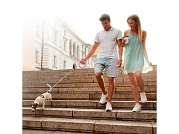 Повідець для собак WAUDOG R-leash світловідбиваюча стрічка XS-M до 40 кг 2.9 м рожевий (81277) - мініатюра 10