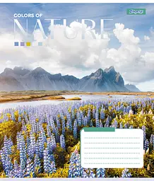 Набір зошитів 1 Вересня Colors of nature А5 в клітинку 60 аркушів 10 шт. (767394) - мініатюра 2