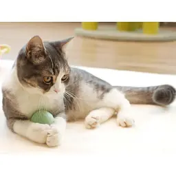 Розумний м'ячик для котів Cheerble Ice Cream Ball Green [150908] - мініатюра 4