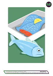 Quick Minds 3. Flashcards (for Ukraine, НУШ) - Герберт Пухта - мініатюра 2