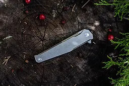 Ніж cкладний Ruike P108-SF, Сріблястий - мініатюра 9