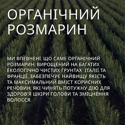 Рослинний тонік для волосся Weleda з розмарином, 100 мл (957100) - мініатюра 15