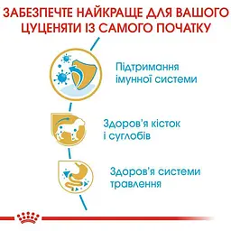 Сухий корм для цуценят породи Такса Royal Canin Dachshund Puppy, 1,5 кг (24370151) - мініатюра 5