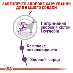 Сухий корм для дорослих собак великих розмірів Royal Canin Giant Adult, 4 кг (3009040) - мініатюра 5