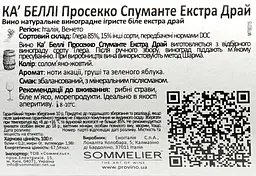 Вино ігристе Ca' Belli Prosecco Extra Dry Veneto, біле, екстра-сухе, 0,75 л - мініатюра 3