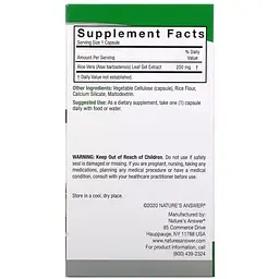 Алое вера фітогель Nature's Answer Aloe Vera Phytogel 250 мг 90 капсул - мініатюра 3