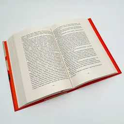 Усюди жевріють пожежі - Інг Селесте | Наш Формат, книга українською, нова, тверда - мініатюра 3