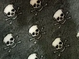 Килимок Jackson Textiles Skulls 160х100 см (JT-023-1) - мініатюра 4