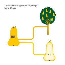 My First Book of the Vegetable Garden. Montessori: A World of Achievements - мініатюра 6