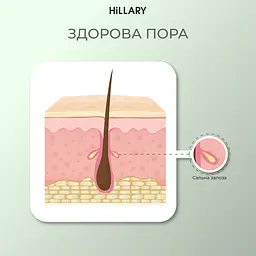 Солнцезащитный крем для лица SPF 50 + Набор по уходу за кожей лица нормального типа Hillary - миниатюра 11
