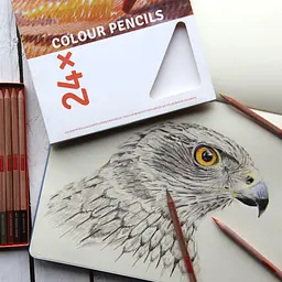 Набір кольорових олівців Talens Art Creation 24 шт картон Royal Talens - мініатюра 6