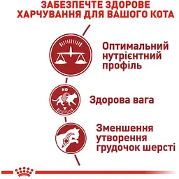 Сухий корм для домашніх та вуличних котів Royal Canin Fit м'ясо птиці та рис 0.4 кг - мініатюра 4