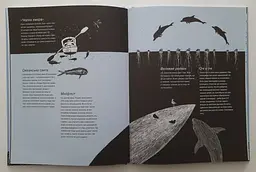 Як переплисти Атлантику на каяку? Агата Лот-Ігнацюк kni0003852 - мініатюра 3