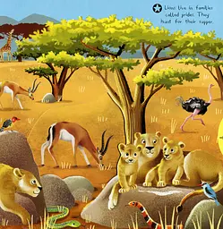 First Explorers. Wild Animals - мініатюра 3