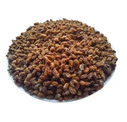 Обліпиха Плоди Щець Hippophae rhamnoides - мініатюра 1