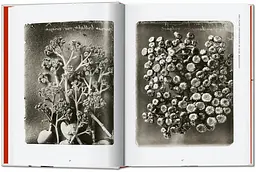 Karl Blossfeldt. The Complete Published Work. 40th Edition - мініатюра 3