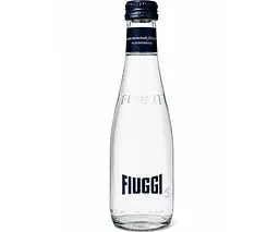 Fiuggi Sparkling, Упаковка 24 шт. х 0.25 л, Вода мінеральна олігомінеральна лікувальна, слабогазована, Ф'юджі, скло