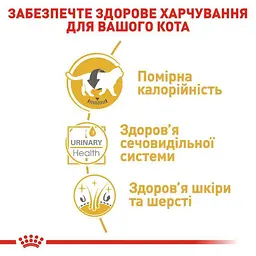 Вологий корм для дорослих кішок породи британська короткошерста Royal Canin British Shorthair Adult, шматочки в підливі, 85 г - мініатюра 3