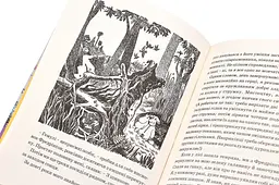 Країна Мумі-тролів. Книга 2 — Туве Янссон - мініатюра 3
