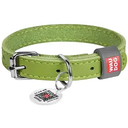 Нашийник для собак Waudog Classic, шкіряний, з QR паспортом, 19-25х1,2 см, салатовий
