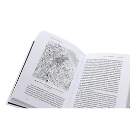 Книга Український Майдан, російська війна. Хроніка та аналіз Революції Гідності - Михайло Винницький Видавництво Старого Лева (9786176798866) - мініатюра 6