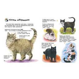 Книга Енциклопедія дошкільника. Коти - Юлія Каспарова Ранок (9786170992741) - мініатюра 4