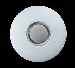 Люстра стельова LED Splendid Ray LY8339/24Wx2, 48W, білий, 40 см, з пультом і Bluetooth, сучасний стиль для дому - мініатюра 8