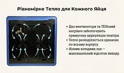 Автоматичний інкубатор ПТАХА 200-В (220/12В) - мініатюра 5