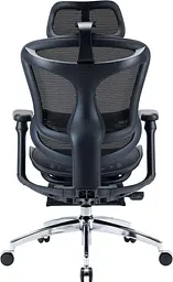 Офісне крісло Sihoo DORO C300L Mesh Black with footrest (DORO-C300L-A3-101-JT) - мініатюра 2